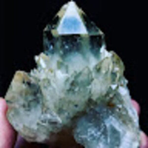 Meet your Posher, Skyler